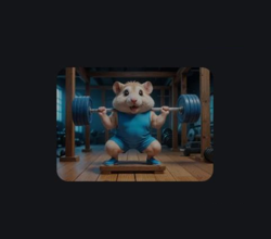 Gym hamster